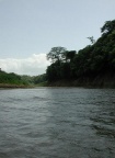 DSCN1353
