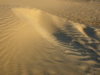 DSCN9598